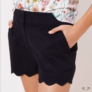 Loft scalloped shorts 4” inseam